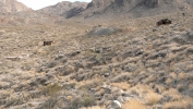 PICTURES/Death Valley - Leadfield Ghost Town/t_P1050859.JPG